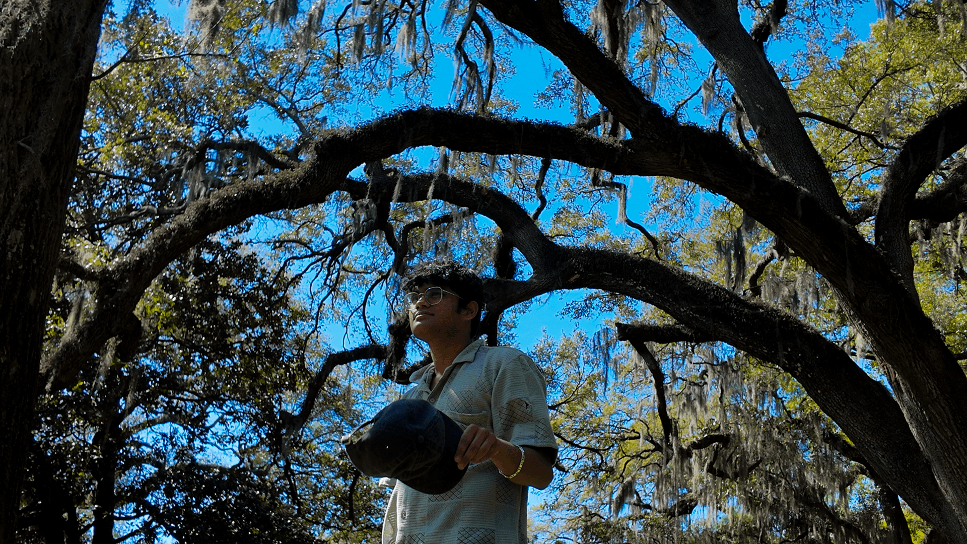 Ayush Basu looking up through trees